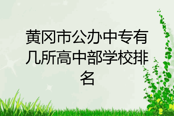 黄冈市公办中专有几所高中部学校排名