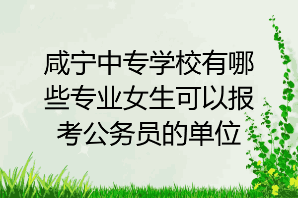 咸宁中专学校有哪些专业女生可以报考公务员的单位