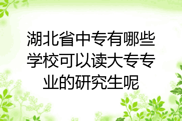 湖北省中专有哪些学校可以读大专专业的研究生呢