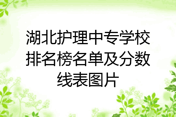 湖北护理中专学校排名榜名单及分数线表图片