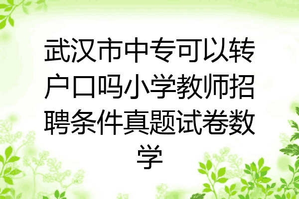 武汉市中专可以转户口吗小学教师招聘条件真题试卷数学