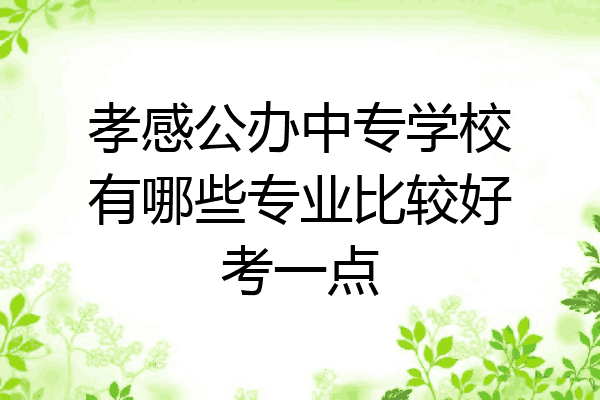 孝感公办中专学校有哪些专业比较好考一点