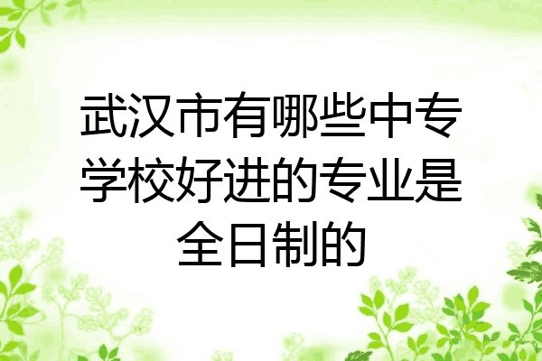 武汉市有哪些中专学校好进的专业是全日制的