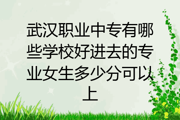 武汉职业中专有哪些学校好进去的专业女生多少分可以上