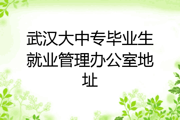武汉大中专毕业生就业管理办公室地址