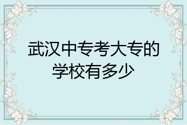 武汉中专考大专的学校有多少