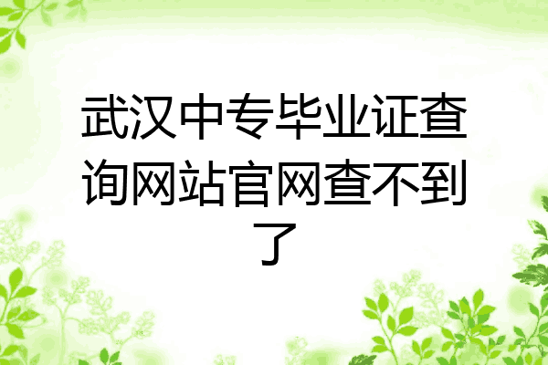 武汉中专毕业证查询网站官网查不到了