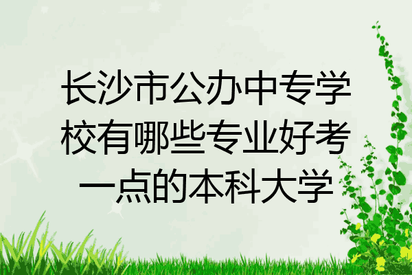 长沙市公办中专学校有哪些专业好考一点的本科大学