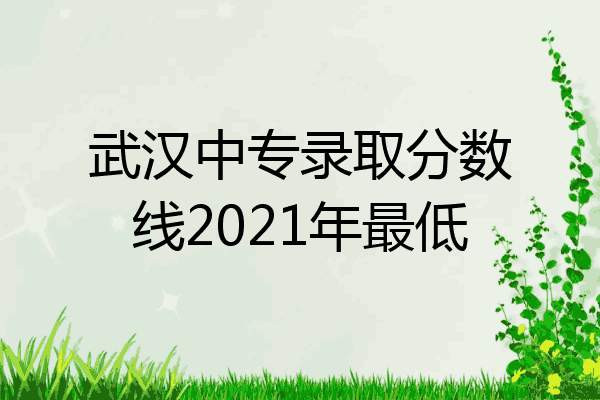 武汉中专录取分数线2021年最低