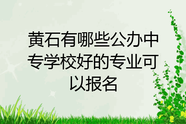 黄石有哪些公办中专学校好的专业可以报名