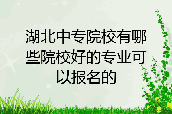 湖北中专院校有哪些院校好的专业可以报名的