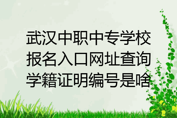 武汉中职中专学校报名入口网址查询学籍证明编号是啥