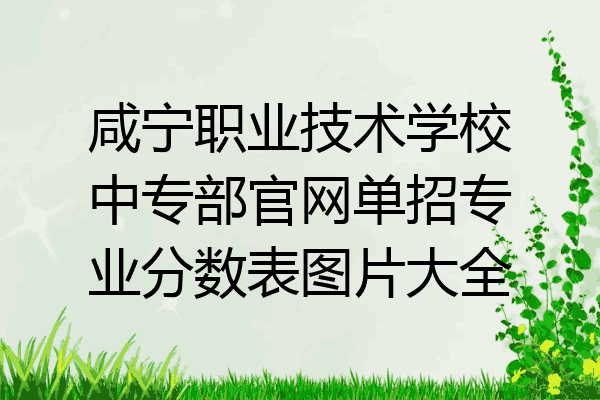咸宁职业技术学校中专部官网单招专业分数表图片大全