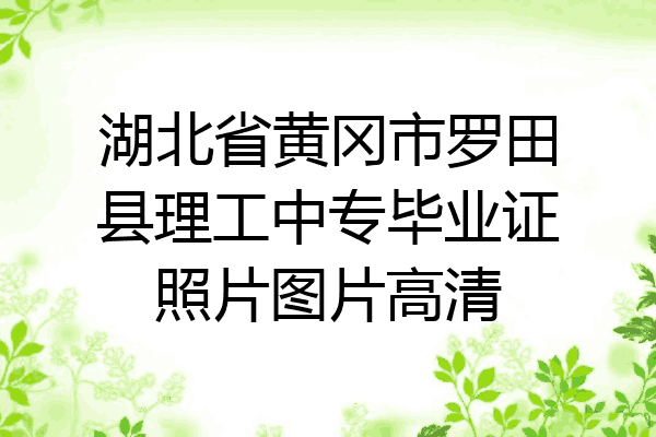 湖北省黄冈市罗田县理工中专毕业证照片图片高清
