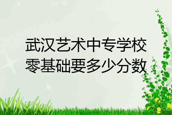 武汉艺术中专学校零基础要多少分数