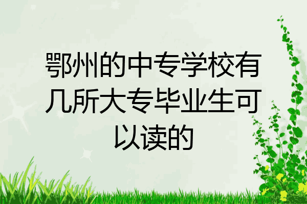 鄂州的中专学校有几所大专毕业生可以读的