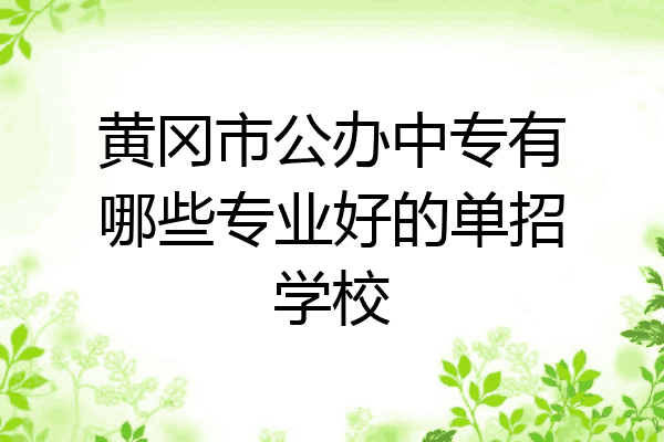 黄冈市公办中专有哪些专业好的单招学校