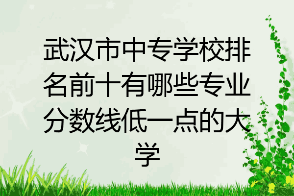 武汉市中专学校排名前十有哪些专业分数线低一点的大学