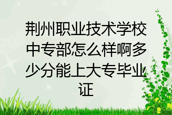 荆州职业技术学校中专部怎么样啊多少分能上大专毕业证