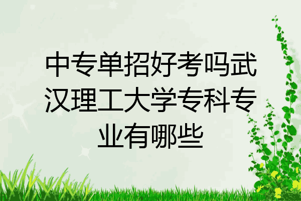 中专单招好考吗武汉理工大学专科专业有哪些