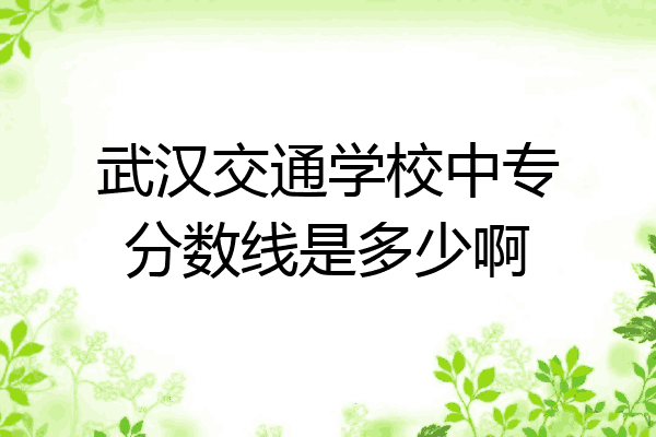 武汉交通学校中专分数线是多少啊