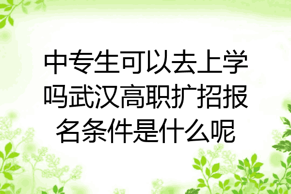 中专生可以去上学吗武汉高职扩招报名条件是什么呢