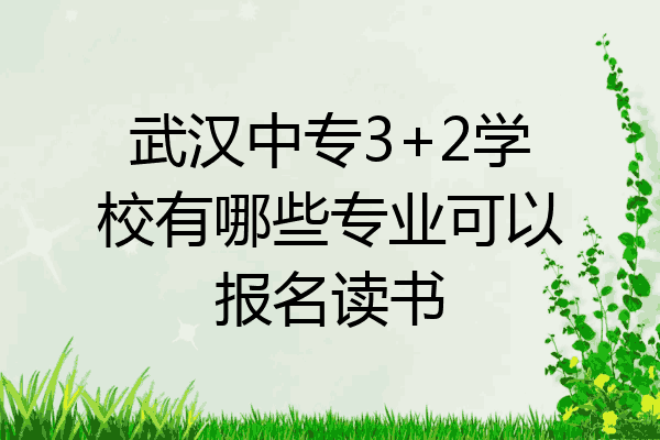 武汉中专3+2学校有哪些专业可以报名读书
