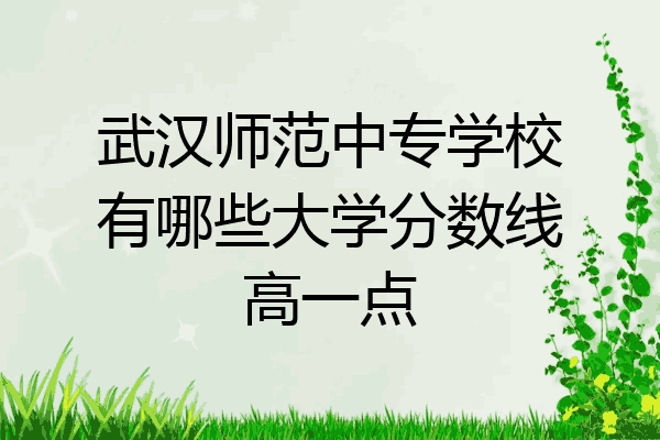 武汉师范中专学校有哪些大学分数线高一点