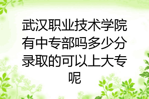 武汉职业技术学院有中专部吗多少分录取的可以上大专呢