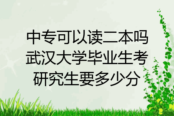 中专可以读二本吗武汉大学毕业生考研究生要多少分
