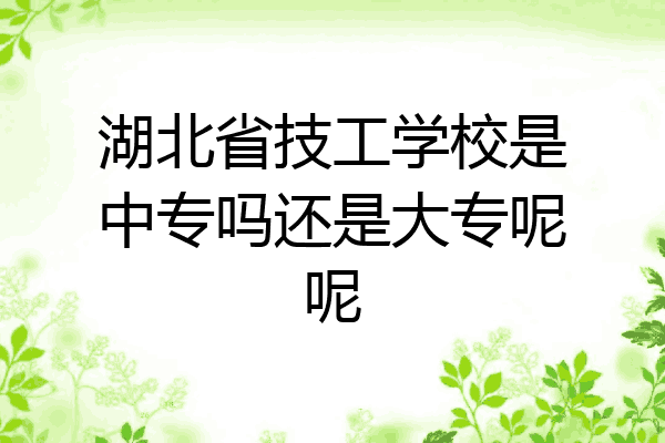 湖北省技工学校是中专吗还是大专呢呢