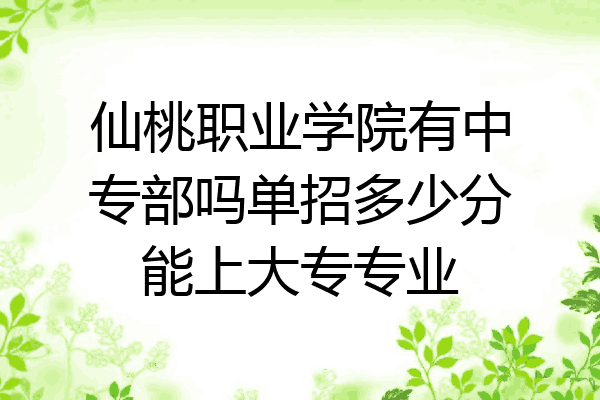 仙桃职业学院有中专部吗单招多少分能上大专专业