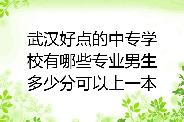 武汉好点的中专学校有哪些专业男生多少分可以上一本