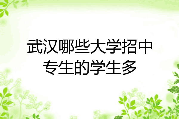 武汉哪些大学招中专生的学生多