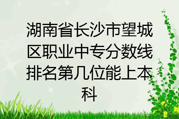 湖南省长沙市望城区职业中专分数线排名第几位能上本科
