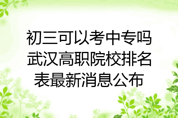 初三可以考中专吗武汉高职院校排名表最新消息公布