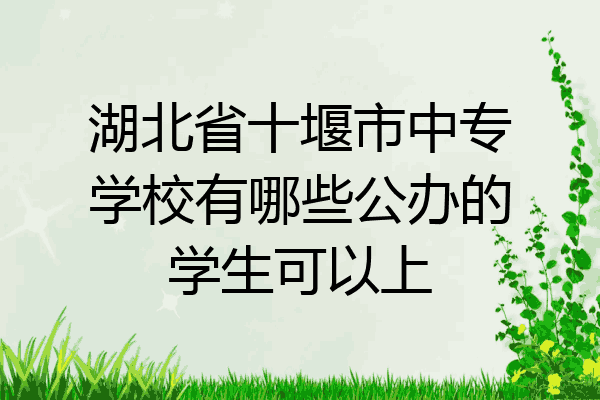 湖北省十堰市中专学校有哪些公办的学生可以上