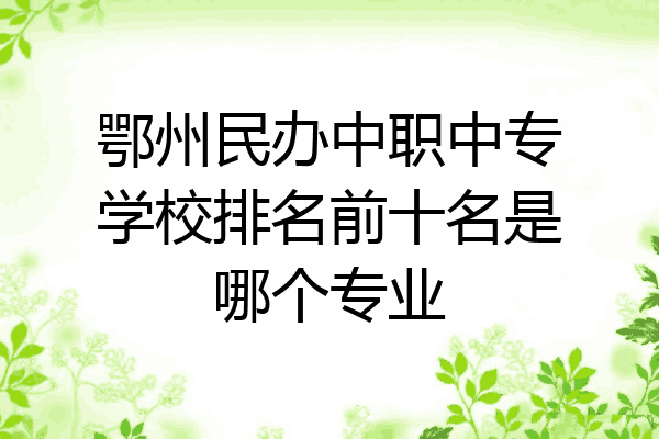 鄂州民办中职中专学校排名前十名是哪个专业
