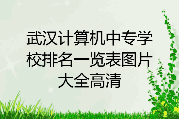 武汉计算机中专学校排名一览表图片大全高清
