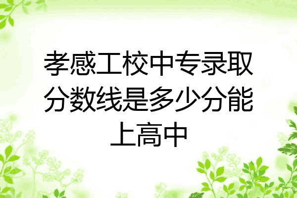孝感工校中专录取分数线是多少分能上高中