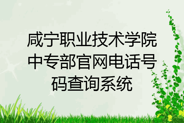 咸宁职业技术学院中专部官网电话号码查询系统