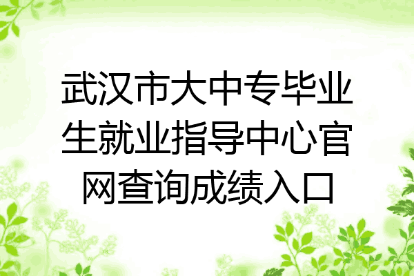 武汉市大中专毕业生就业指导中心官网查询成绩入口