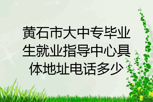 黄石市大中专毕业生就业指导中心具体地址电话多少