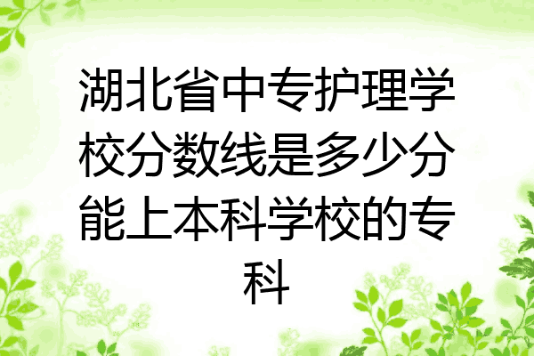 湖北省中专护理学校分数线是多少分能上本科学校的专科