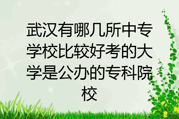 武汉有哪几所中专学校比较好考的大学是公办的专科院校