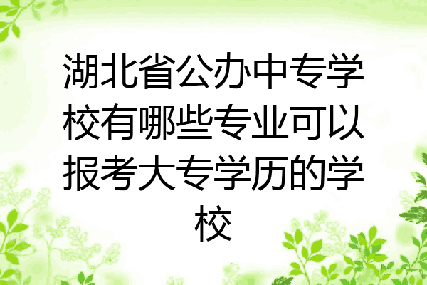 湖北省公办中专学校有哪些专业可以报考大专学历的学校