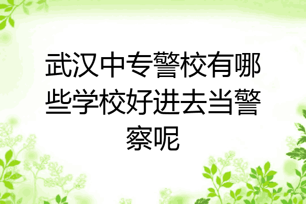 武汉中专警校有哪些学校好进去当警察呢