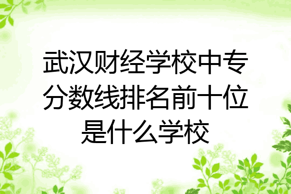 武汉财经学校中专分数线排名前十位是什么学校