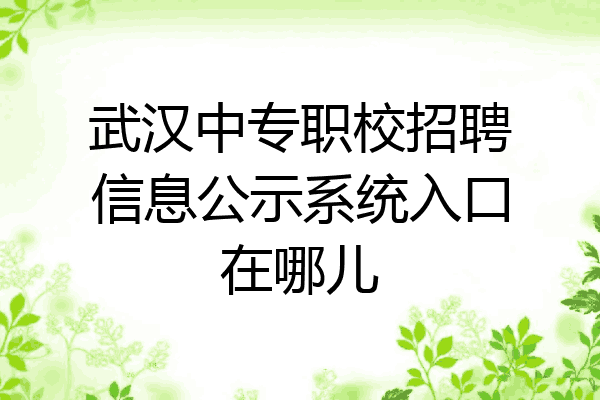 武汉中专职校招聘信息公示系统入口在哪儿