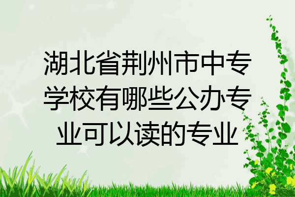 湖北省荆州市中专学校有哪些公办专业可以读的专业